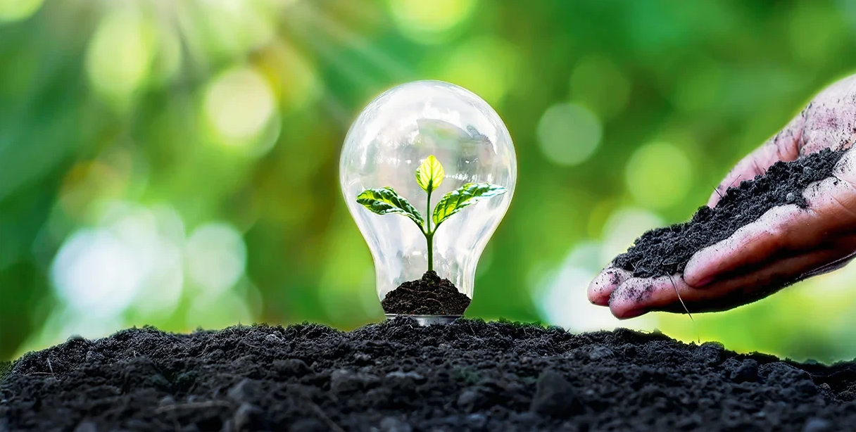 Lampadina illuminata simbolo di innovazione energetica e sostenibilità